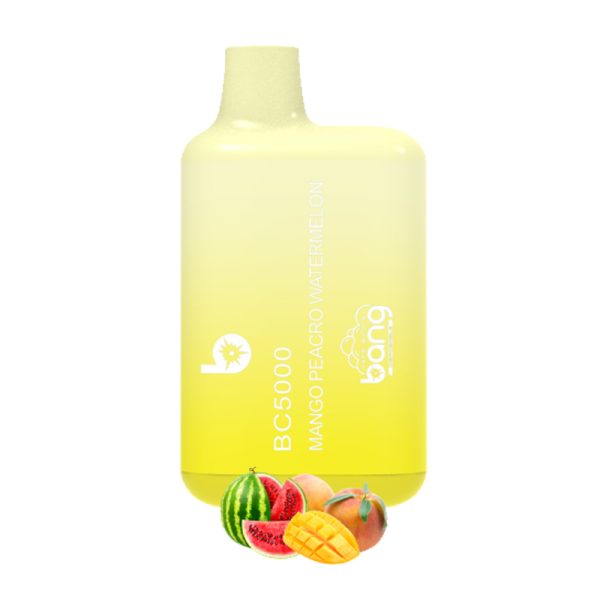 Bang BC 5k-5 Bang vape BC 5000puff 5k電子タバコ-10PCS/1箱