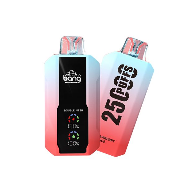 bang 25000-1 bang vape 25000Puffs 25k電子タバコ-10個入り/1箱