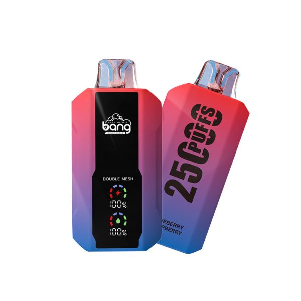 bang 25000-10 bang vape 25000Puffs 25k電子タバコ-10個入り/1箱