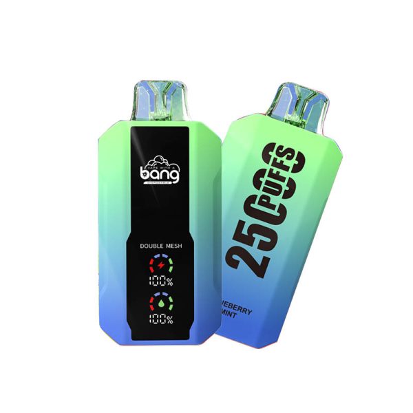 bang 25000-5 bang vape 25000Puffs 25k電子タバコ-10個入り/1箱