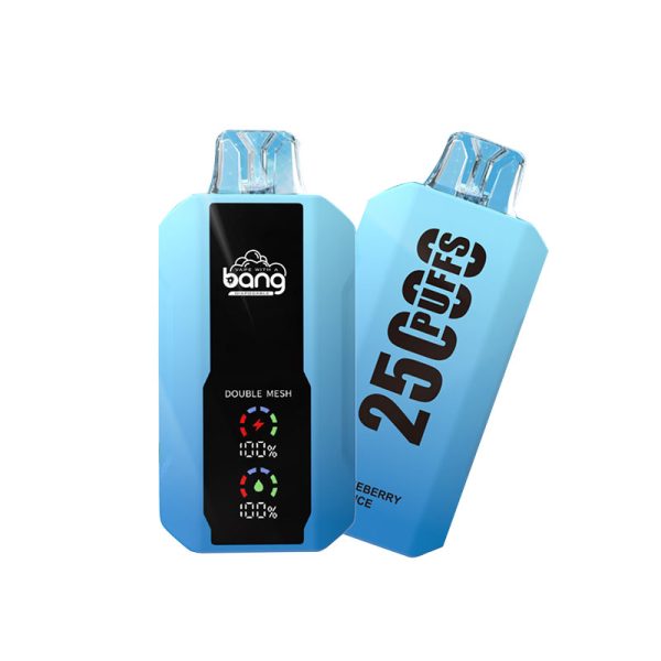 bang 25000-6 bang vape 25000Puffs 25k電子タバコ-10個入り/1箱