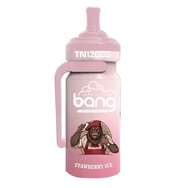bang NT 12000-9 Bang NT 12000puff 12K電子タバコ-10PCS/1箱