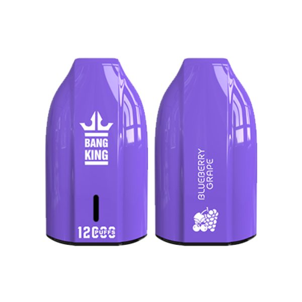 bang king 12000puff Bang King 12000|Bang King 12000の詳細