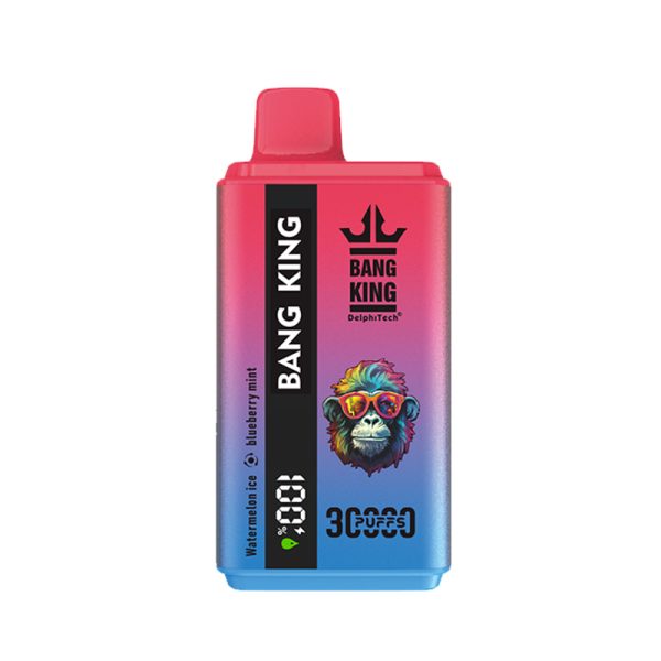 bang king 30K-20 bang king 30000Puffs 30K電子タバコ-10個入り/1箱