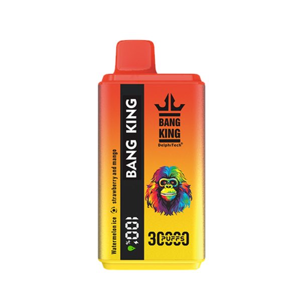 bang king 30K-22 bang king 30kPuffs-1個