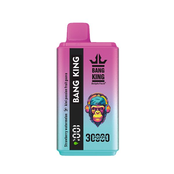 bang king 30K-24 bang king 30kPuffs-1個