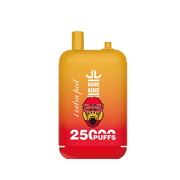 pod 25000-9 Bang king 25000Puffs 25K-1PCS